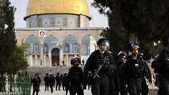 250 شبكة ومنظمة حقوقية عربية ودولية تدين اعتداءات الاحتلال في الأقصى