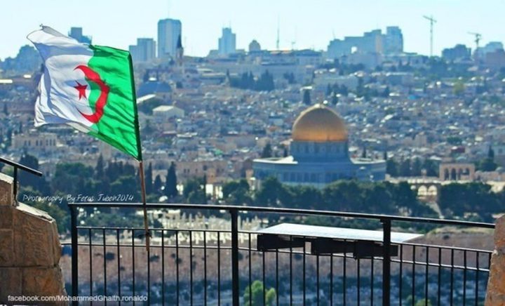الرئيس الجزائري: على المجتمع الدولي التحرك بسرعة لحماية الفلسطينيين