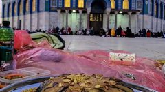 الإفطار في ساحات المسجد الأقصى المبارك.