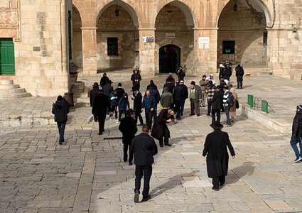 مستوطنون يقتحمون موقع "برناط" الأثري على قمة جبل عيبال