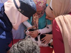 كلية الزراعة والطب البيطري تنظم "اليوم الطبي البيطري الاستشاري المفتوح"
 تصوير بتول ادريخ