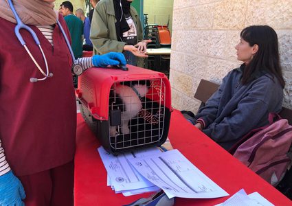 كلية الزراعة والطب البيطري تنظم "اليوم الطبي البيطري الاستشاري المفتوح"
 تصوير بتول ادريخ