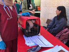 كلية الزراعة والطب البيطري تنظم "اليوم الطبي البيطري الاستشاري المفتوح"
 تصوير بتول ادريخ