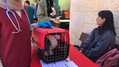 كلية الزراعة والطب البيطري تنظم "اليوم الطبي البيطري الاستشاري المفتوح"
 تصوير بتول ادريخ