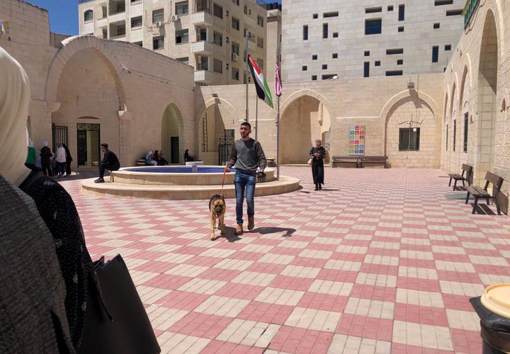 كلية الزراعة والطب البيطري تنظم "اليوم الطبي البيطري الاستشاري المفتوح"
 تصوير بتول ادريخ