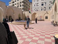 كلية الزراعة والطب البيطري تنظم "اليوم الطبي البيطري الاستشاري المفتوح"
 تصوير بتول ادريخ