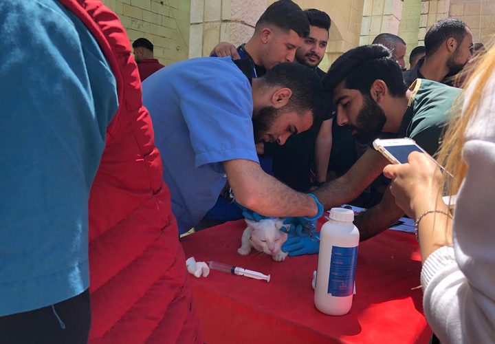 كلية الزراعة والطب البيطري تنظم "اليوم الطبي البيطري الاستشاري المفتوح"
 تصوير بتول ادريخ