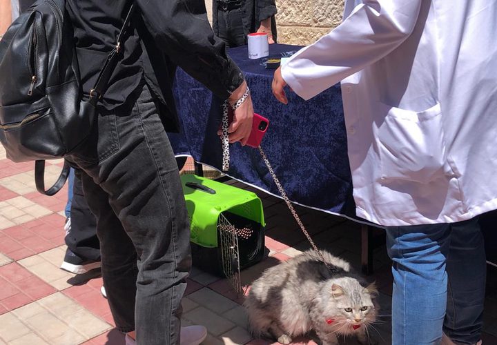 كلية الزراعة والطب البيطري تنظم "اليوم الطبي البيطري الاستشاري المفتوح"
 تصوير بتول ادريخ