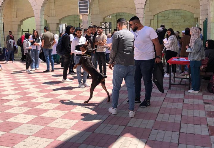 كلية الزراعة والطب البيطري تنظم "اليوم الطبي البيطري الاستشاري المفتوح"
 تصوير بتول ادريخ