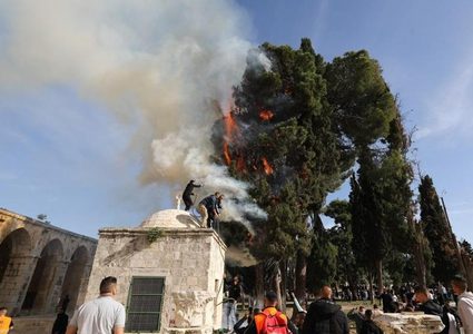 اندلاع حريق في أحد أشجار "الأقصى" بسبب قنابل غاز الاحتلال
