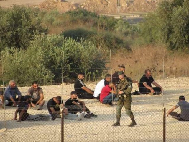 الاحتلال يعتقل عددا من العمال بينهم سيدات جنوب طولكرم