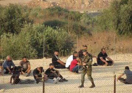 الاحتلال يعتقل عددا من العمال بينهم سيدات جنوب طولكرم