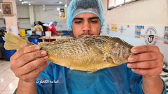 بدء تجهيز الفسيخ والرنجا للعيد