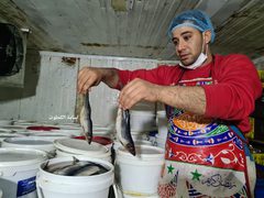 بدء تجهيز الفسيخ والرنجا للعيد
