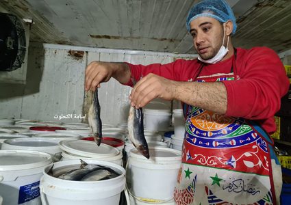 بدء تجهيز الفسيخ والرنجا للعيد