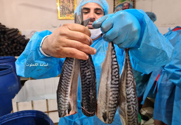 بدء تجهيز الفسيخ والرنجا للعيد