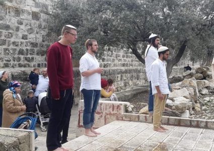 إصابة مسن خلال اقتحام المستوطنين المقامات الاسلامية في كفل حارس