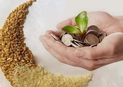 زكاة الفطر.. طُهرة للصائم وإسعاد للفقير