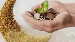 زكاة الفطر.. طُهرة للصائم وإسعاد للفقير