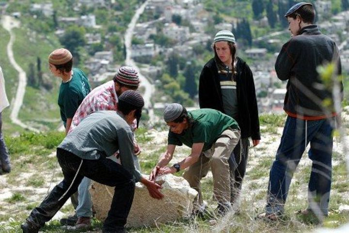 مستوطنين يخربون 20 دونما من المحاصيل الزراعية بمسافر يطا