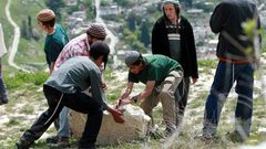 مستوطنين يخربون 20 دونما من المحاصيل الزراعية بمسافر يطا