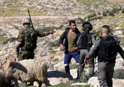 إصابة راعي أغنام بجروح إثر اعتداء المستوطنين عليه في يطا جنوب الخليل