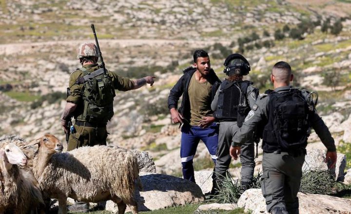 إصابة راعي أغنام بجروح إثر اعتداء المستوطنين عليه في يطا جنوب الخليل