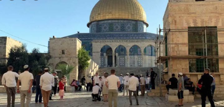 الأوقاف:الاحتلال يقتحم الأقصى 21 مرة ويمنع الأذان في الابراهيمي 52 وقتا خلال شهر