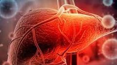 اخر مستجدات التهاب الكبد الوبائي