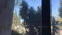 "عوض" يوضح للنجاح مصدر الرصاصة على نافذة كلية هشام حجاوي