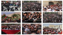 مصر تدين الاعتداء على جنازة الشهيدة شيرين أبو عاقلة