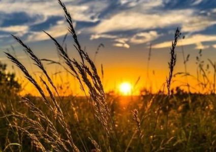 ارتفاع ملموس على درجات الحرارة