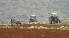 الاحتلال يعيق عمل المزارعين في حمصة بالأغوار