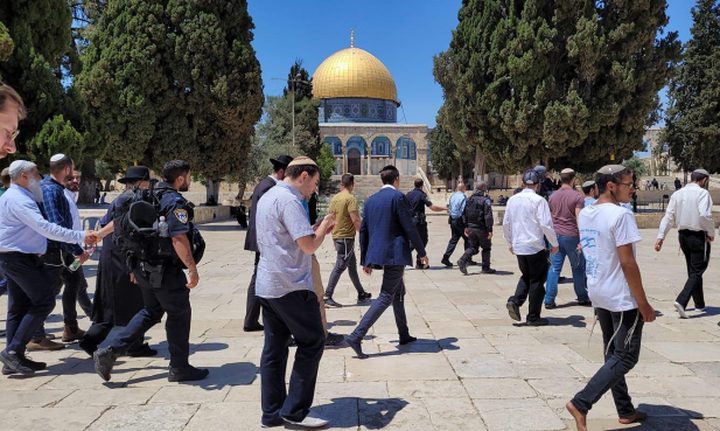 مستوطنين يقتحمون الأقصى ويؤدون طقوسا تلمودية في باحاته