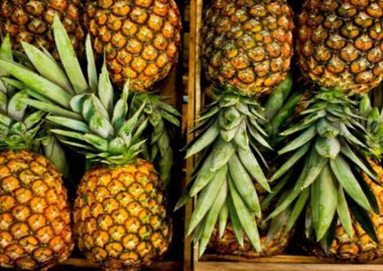 دراسة تكشف أن أوراق الأناناس تمتص الدهون الضارة من الجسم