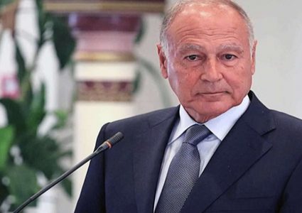 أبو الغيط يعرب عن تطلعه لاستمرار البرازيل في دعمها للقضية الفلسطينية