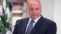 أبو الغيط يعرب عن تطلعه لاستمرار البرازيل في دعمها للقضية الفلسطينية