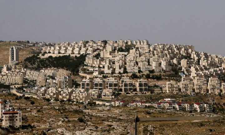 السلام الآن: إعلان إسرائيل عن محميات طبيعية هدفه الاستيلاء على أراضي الفلسطينيين