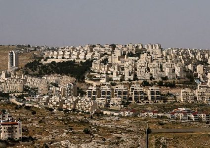 السلام الآن: إعلان إسرائيل عن محميات طبيعية هدفه الاستيلاء على أراضي الفلسطينيين