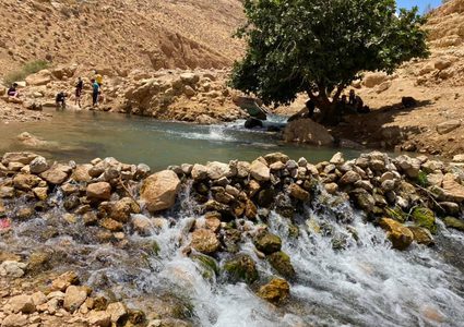 منصور يعلق على قرار سيطرة الاحتلال على أكبر محمية طبيعية في الضفة