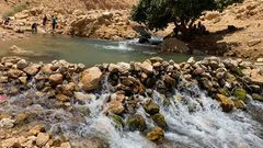 منصور يعلق على قرار سيطرة الاحتلال على أكبر محمية طبيعية في الضفة