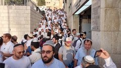 مستوطنون يقتحمون "الأقصى" وشرطة الاحتلال تعتقل 4 شبان من محيطه