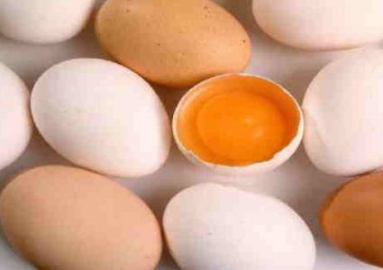 دراسة توضح ما تفعله بيضة واحدة في اليوم