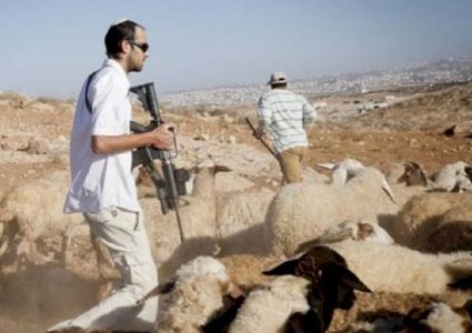 مستوطنون يعتدون على رعاة الأغنام ويهدمون غرفة سكنية جنوب الخليل