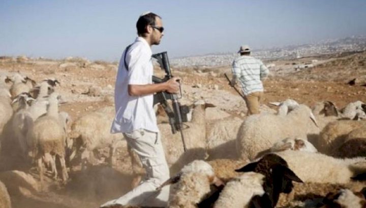 مستوطنون يعتدون على رعاة الأغنام ويهدمون غرفة سكنية جنوب الخليل