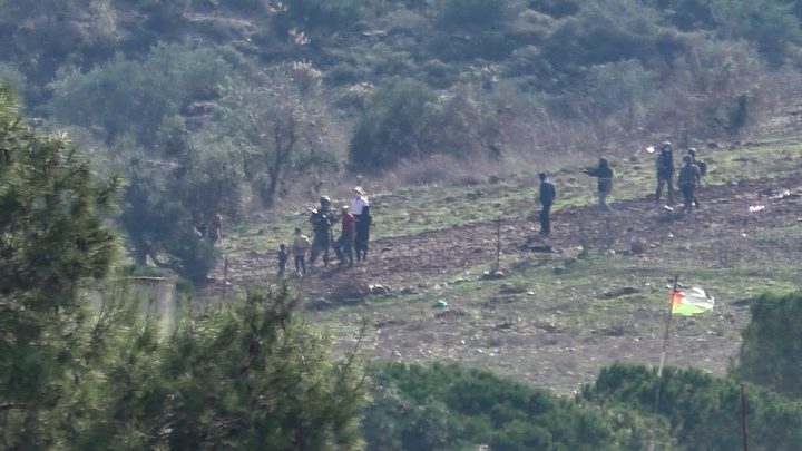 مستوطنون يعتدون على رعاة أغنام ويدمرون محاصيل زراعية في مسافر يطا