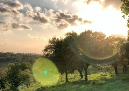 راصد جوي: ارتفاع جديد على درجات الحرارة مطلع الأسبوع المقبل