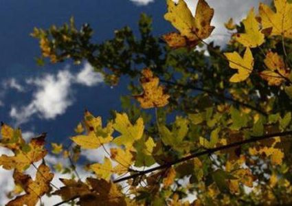 حالة الطقس: الحرارة أعلى من معدلها السنوي بحدود 3 درجات