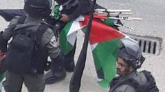 الاحتلال يزيل الأعلام الفلسطينية في صور باهر