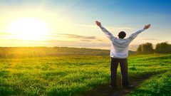 القدرة على استخدام المفاهيم الرياضية تدعم الرضا عن الحياة